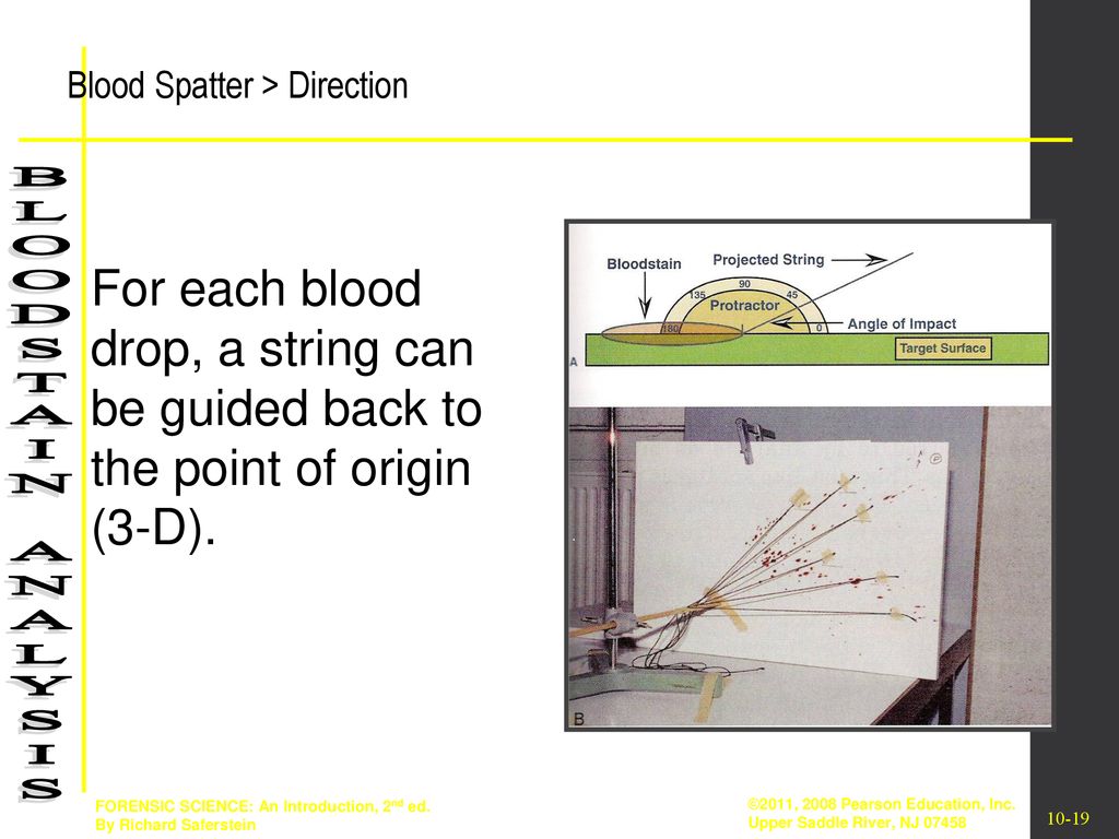 Blood Spatter Analysis - ppt download